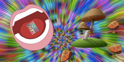 effects of magic mushrooms are similar to lsd